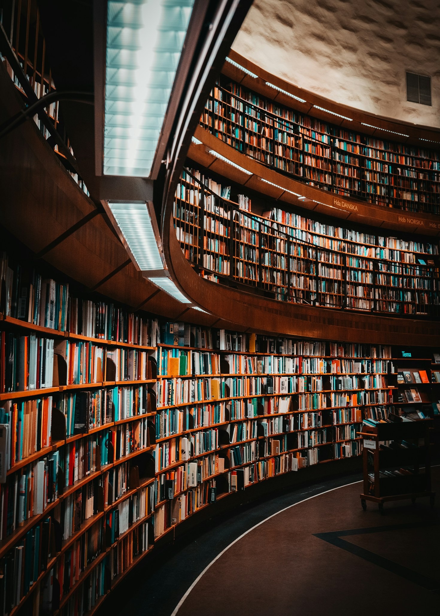 Como Escolher o Livro Educativo Certo para Você