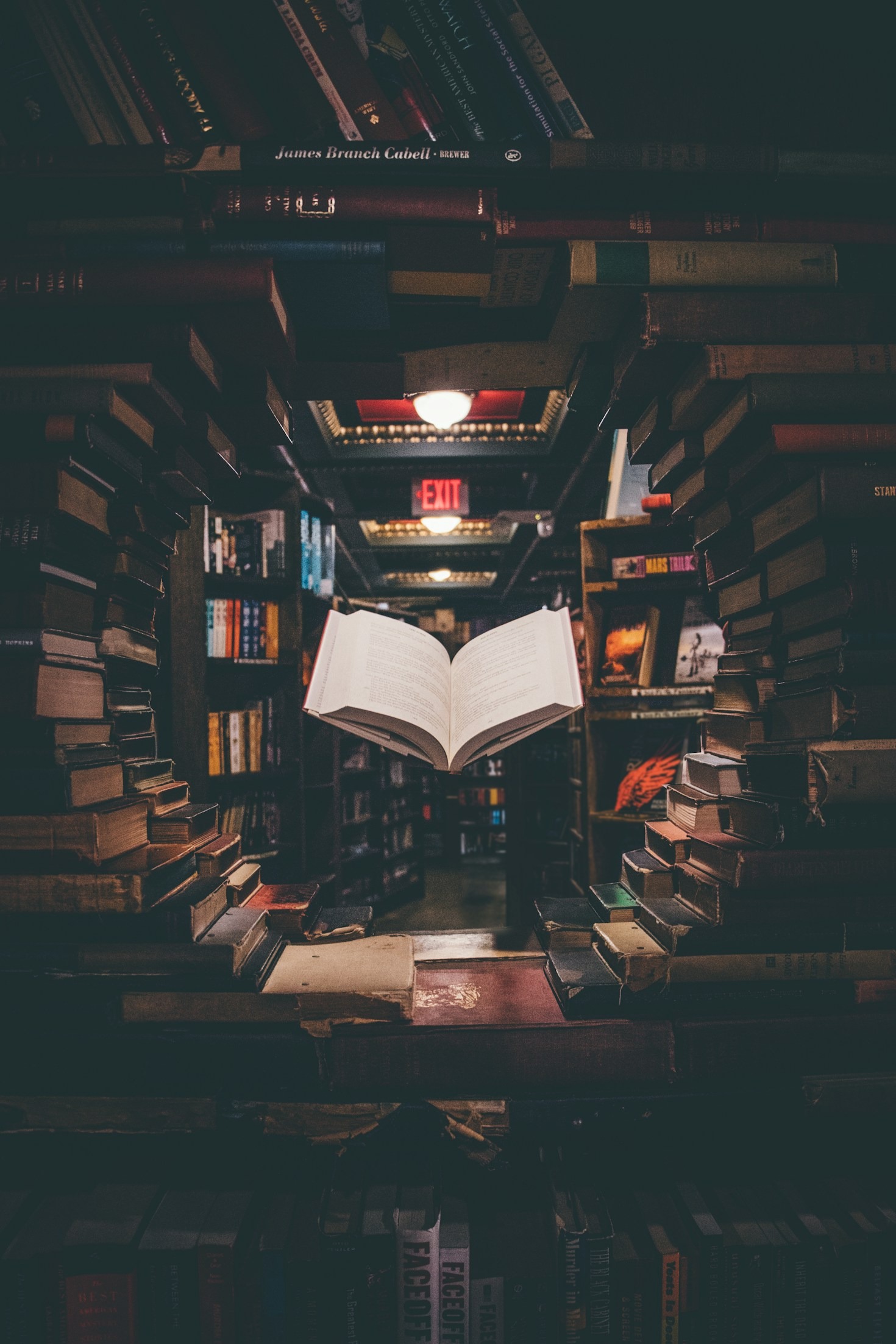 Histórias de Sucesso: Impacto dos Livros da Editora Evans